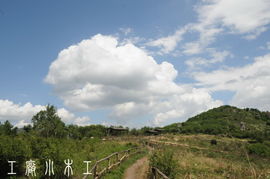 工廠小木工 2011年6月野三坡百草畔風光