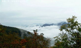 綠色明珠 野三坡白草畔