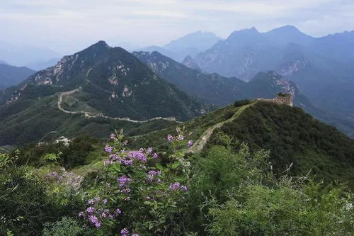 期待已久！4月1日野三坡龍門天關(guān)景區(qū)盛裝開業(yè)